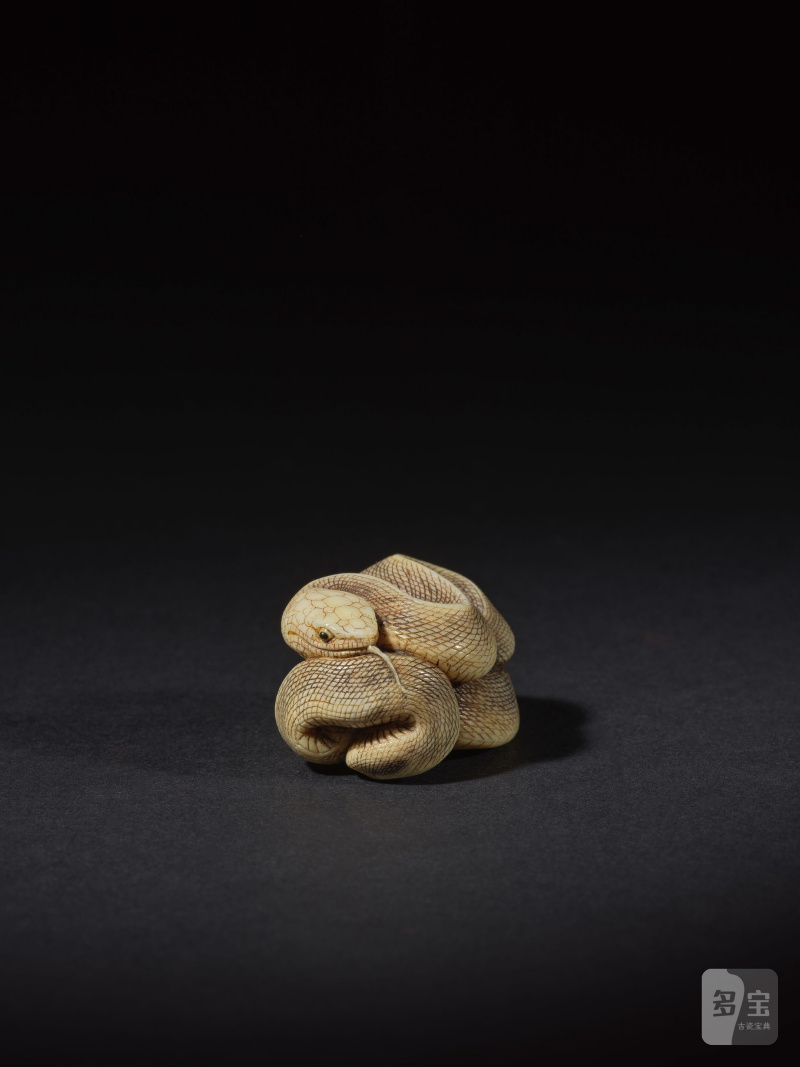 象牙彫根付 蛇 銘「忠義」 19世紀後期/20世紀前期 | NETSUKE EN IVOIRE REPRÉSENTANT UN SERPENT - 图6